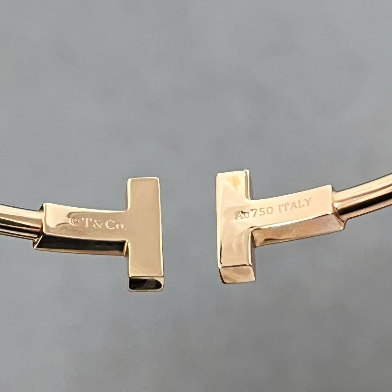 [Eternal Jewellery] T House Double T Open Bangle